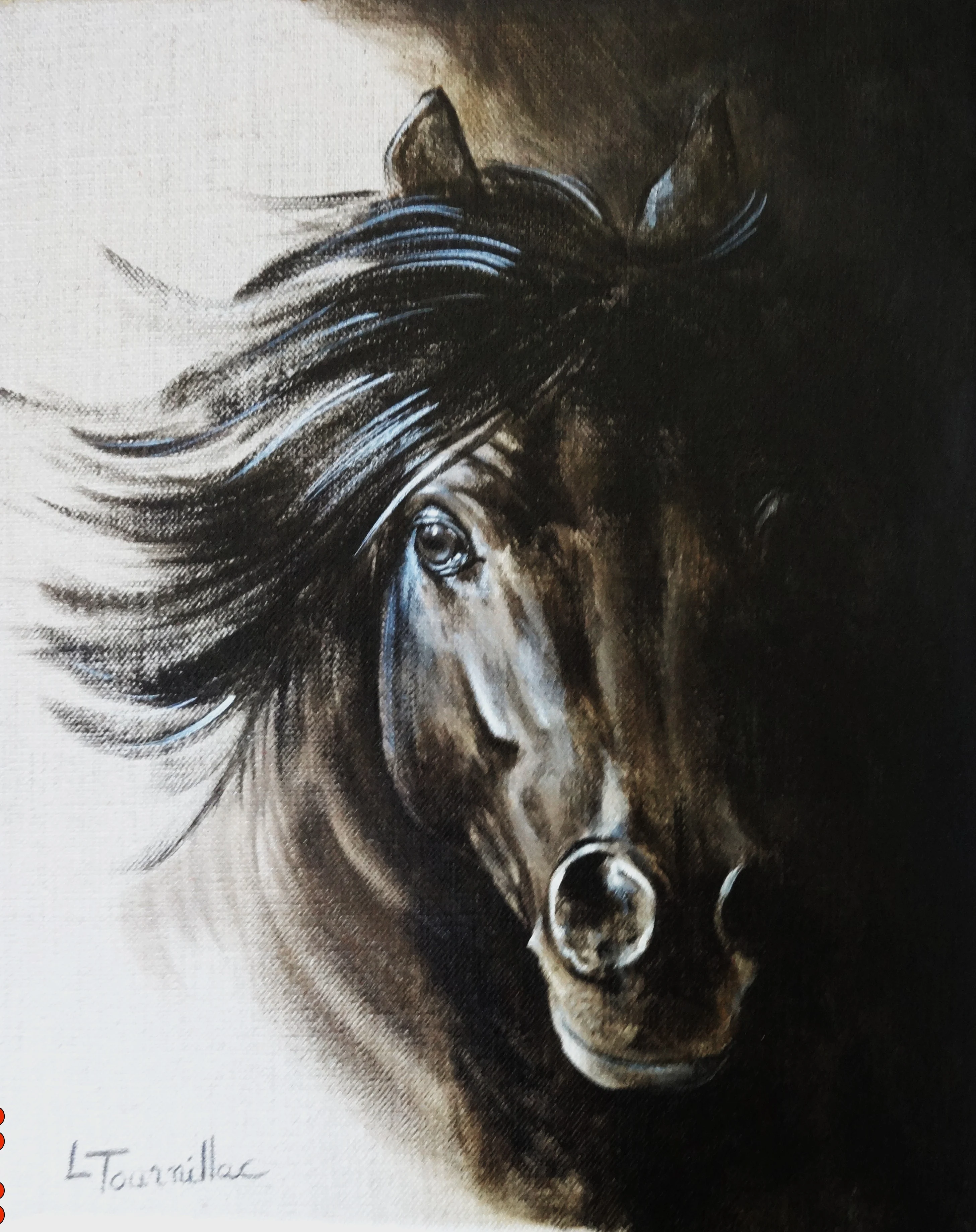 Frison