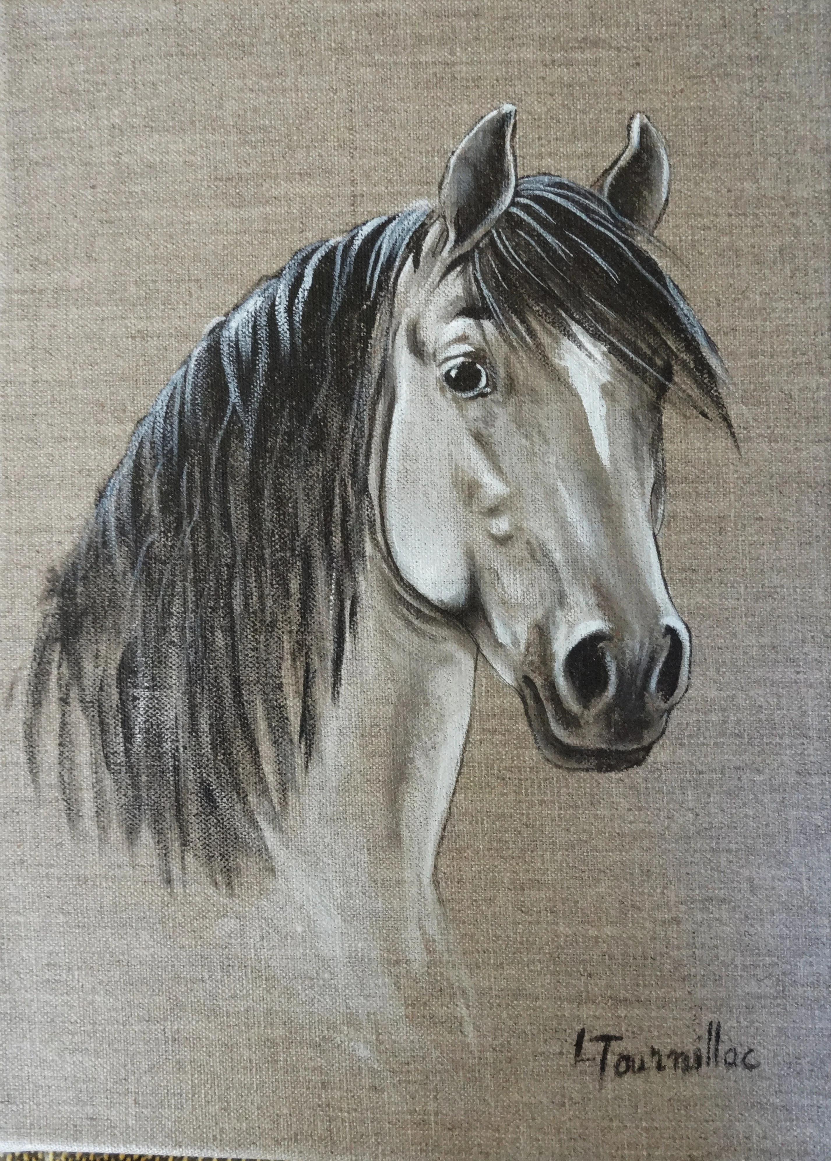 cheval ibérique