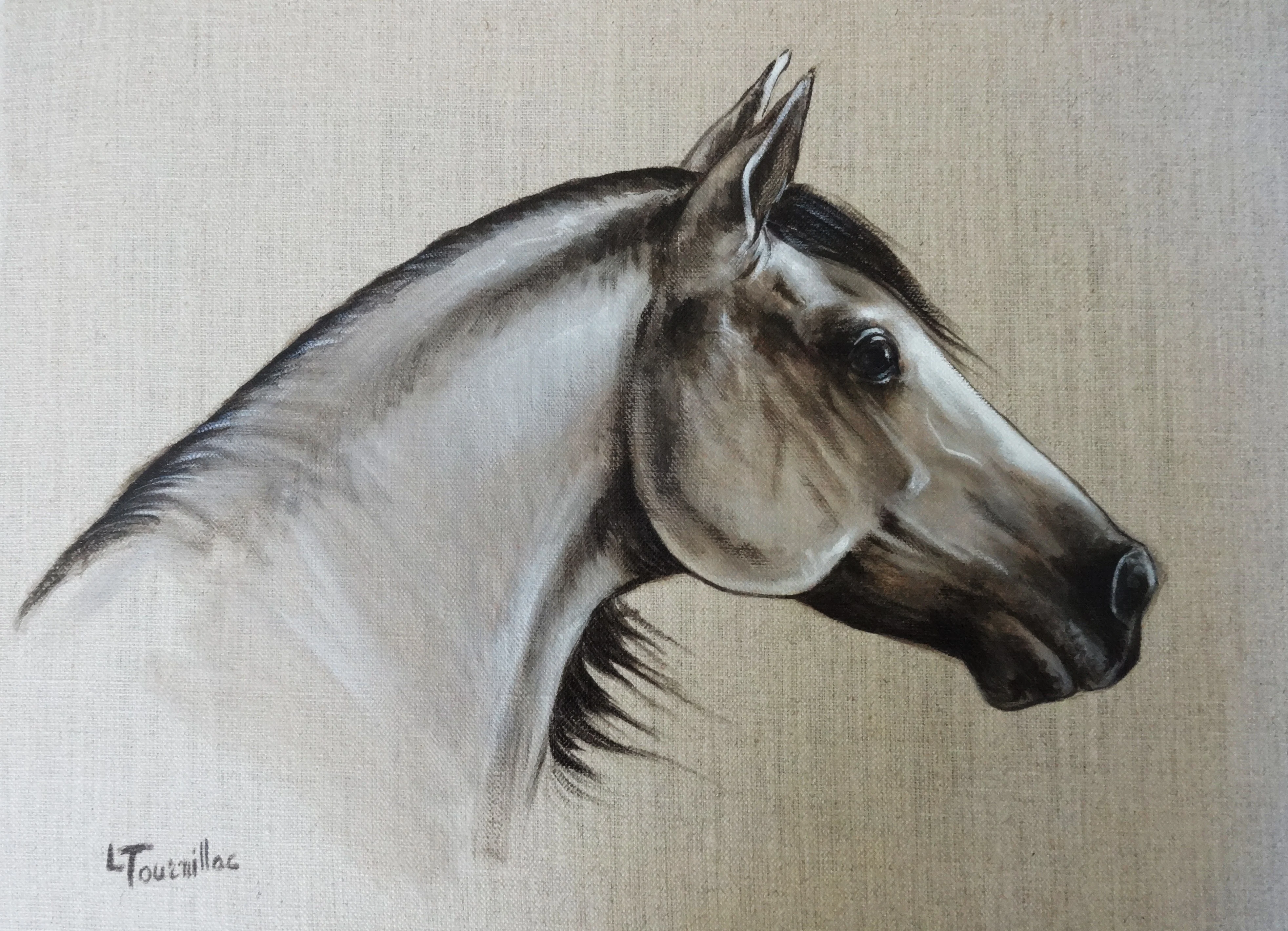 cheval ibérique 2